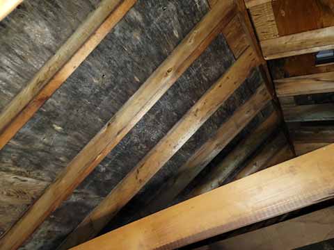 Attic Mould Remediation Companies (Before)