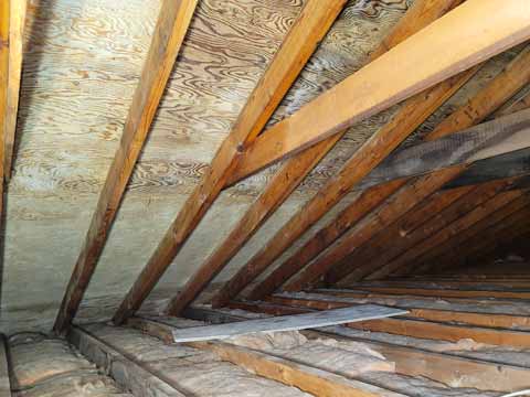 Attic Mould Remediation Companies (After)