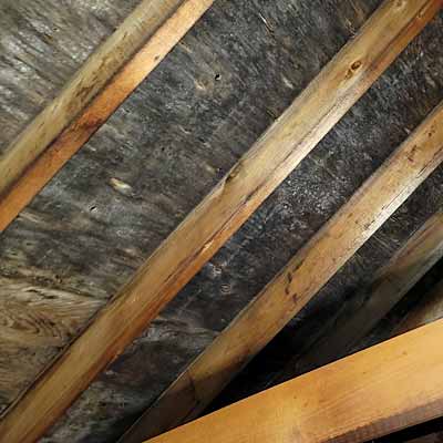 Attic mould removal services in Durham Region & Niagara Region, ON.