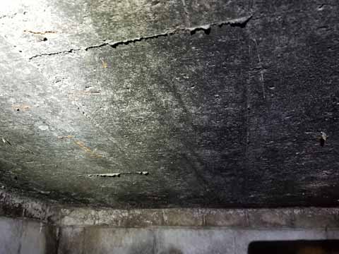 Basement Ceiling Covered In Black Mould