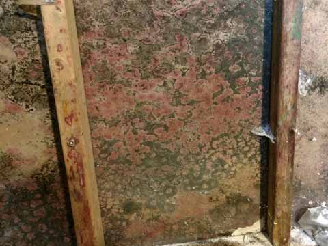 Crawl Space Ceiling Mould