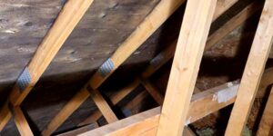 Get Rid Of Mould photo 6